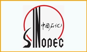 中國石化 中國石化